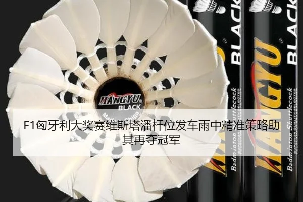 F1匈牙利大奖赛维斯塔潘杆位发车雨中精准策略助其再夺冠军