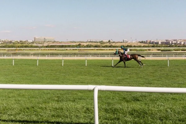 jockey riding racehorse